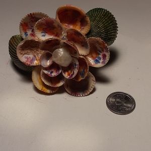 Hand made seashell flower